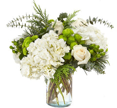 HYDRANGEAS