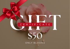 Gift Certificates
