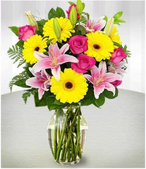 GERBERAS